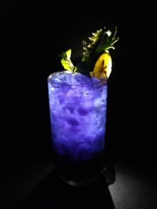 Boozi Babe Purple Cocktail in Collins Glass with Garnish